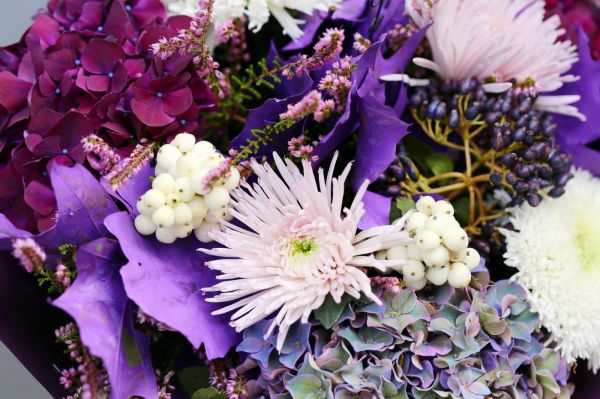 Autumn bouquet with purple oak leaf, hydrangeas, chrysies, berries