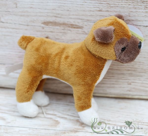 plush boxer (15cm)