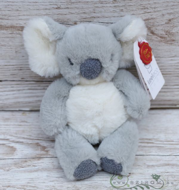 Plüschkoala (20cm)