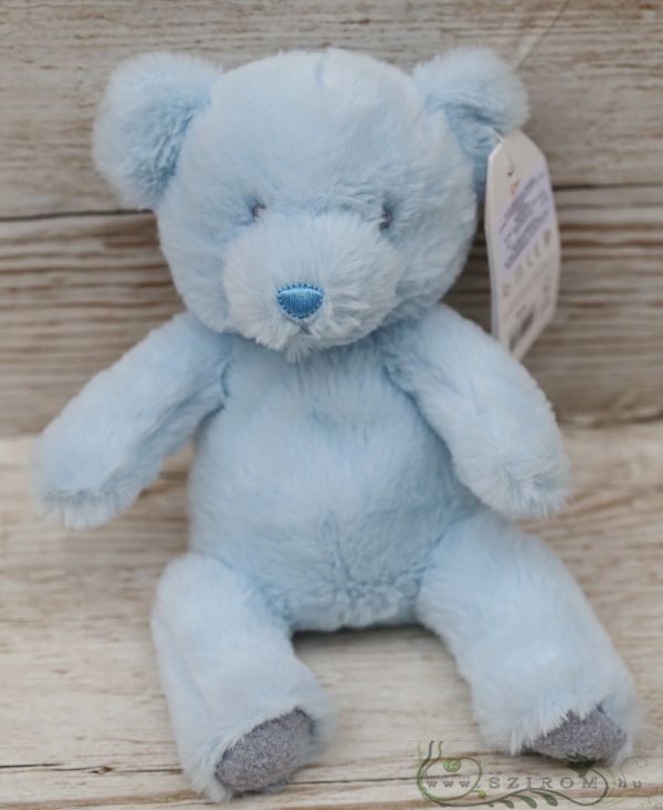 blauer Teddybär (22cm)