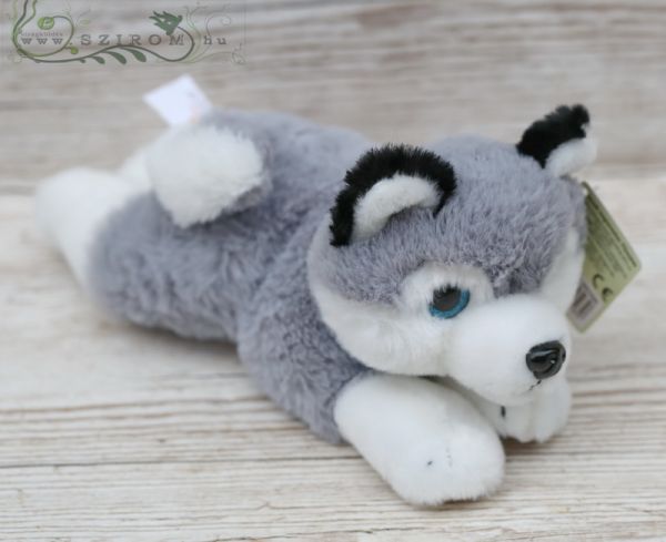 lying plush dog with blue eyes (25cm)