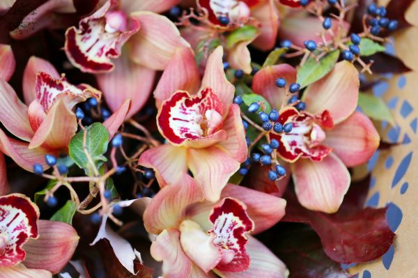 Beautiful peach orchids in autumn bouquet