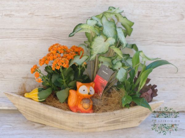 autumn arrangement from plants and a cearamic fox in a woodship (inside)