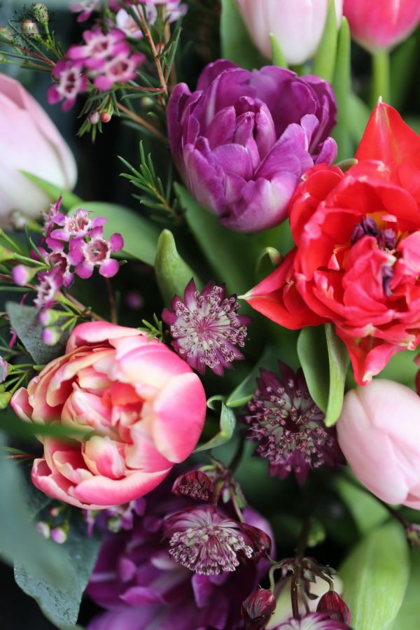 Colorful tulips in hot colors, with small flowers (19 stems)