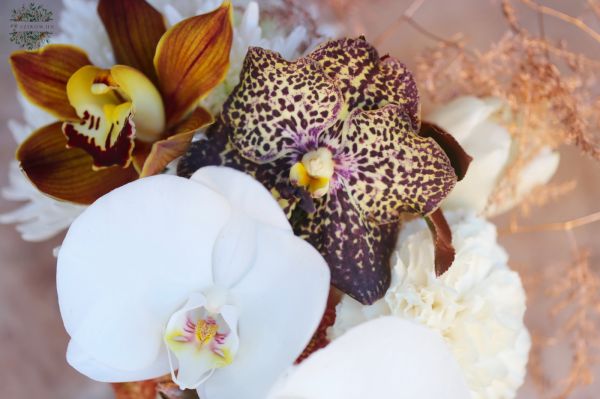 Elegante Orchideen im Glaswürfel in thema Farbe des Jahres Mocha Mousse