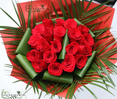 20 red roses with aspidistra leaves