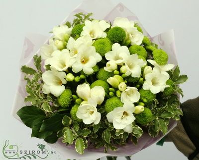 white freesias and green daisies (15 stems)