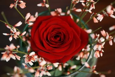 rote Rose in Glaskugel mit kleinen Blumen