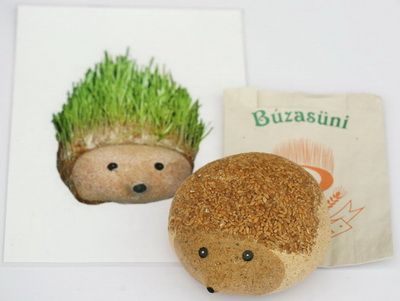 grass head hedgehog (15cm) - indoor plant