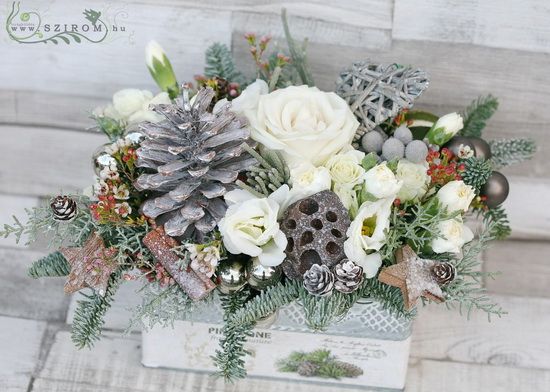 winter beauty in metal box with cones