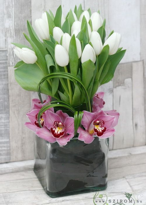 moderne Komposition von Orchideen und Tulpen im Glaskubus (28 Stämme)