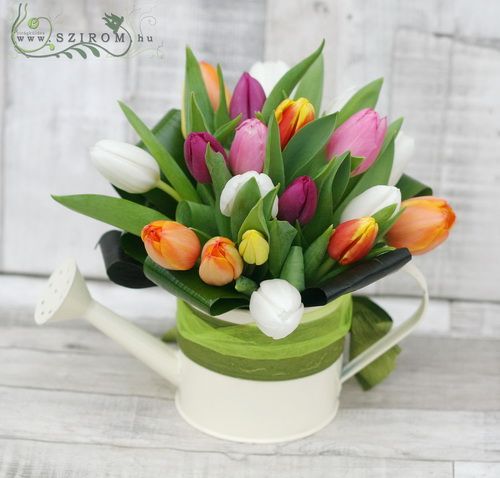 egy kannányi tulipán (20 szál)