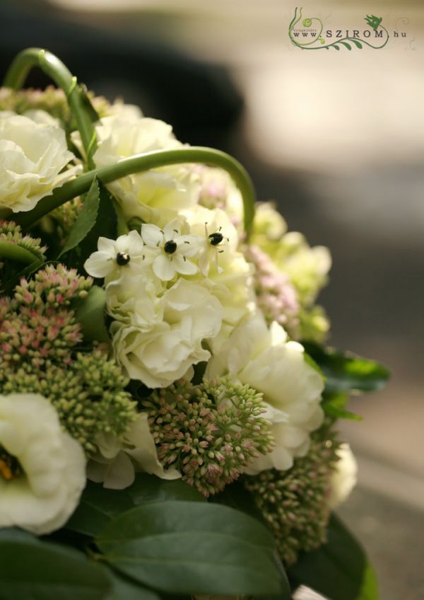 oval car flower arrangement with lisianthius and ornithogalums (green, cream, white)