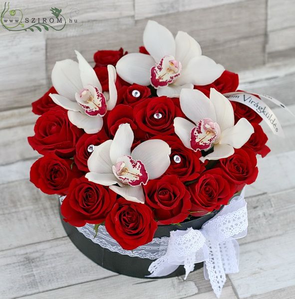Red rose box with orchids (25 stems)