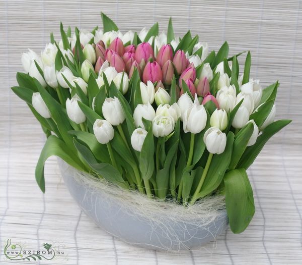 70 tulips in oval ceramic pot