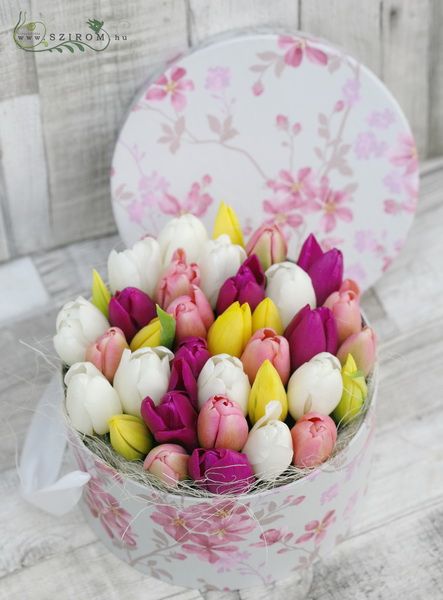 Tulip box (35 stems)