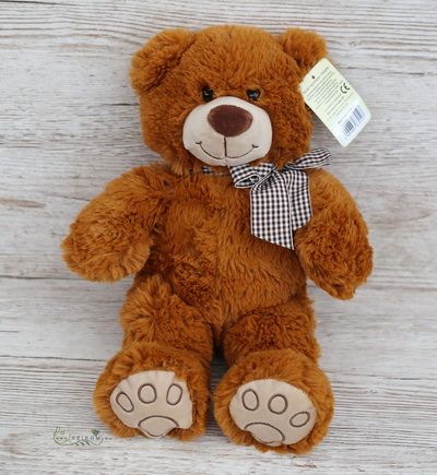 Brown Plüsch Teddy mit karierten Schal (25cm)