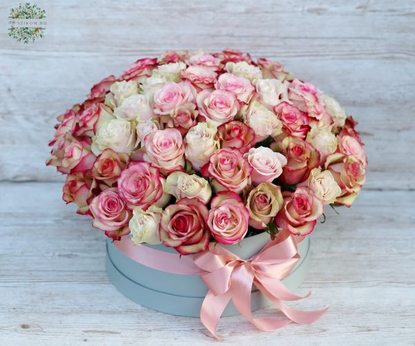 70 roses in box