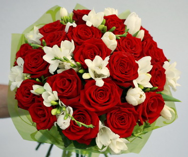 flower delivery Budapest - red roses with freesias  (40 stems)