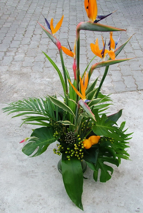 flower delivery Budapest - an exotic arrangement