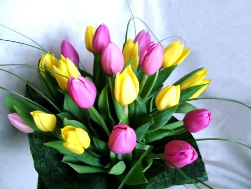Blumenlieferung nach Budapest - 20 Tulpen in einem Runder Strauss