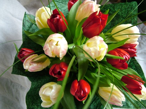 flower delivery Budapest - 20 tulips in a round bouquet