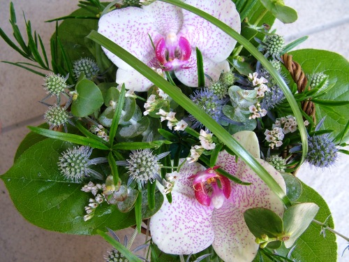 Blumenlieferung nach Budapest - Orchideenkorb (zwei Blüten)
