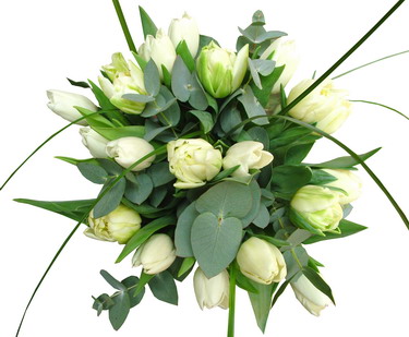 flower delivery Budapest - bouquet of 20 white tulips with eucaliptus