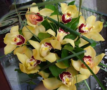 Virágküldés Budapest - sárga orchidea gömbcsokor
