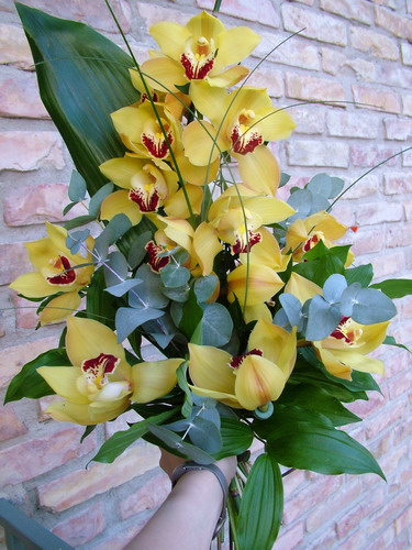 flower delivery Budapest - tall cymbidium orchid bouquet 
