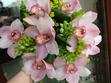 flower delivery Budapest - round bouquet of 10 light pink orchids