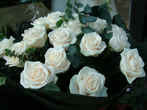 flower delivery Budapest - sympathy bouquet of 20 white roses and eucalyptuses