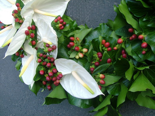flower delivery Budapest - ivy wreath with white flamingo flowers and hypericums (60 cm)