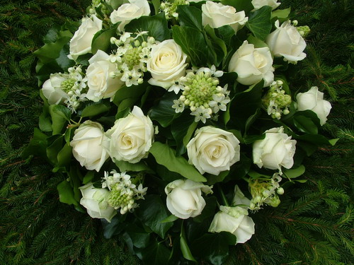 flower delivery Budapest - dome wreath with white roses and ornithogalums (110 cm)