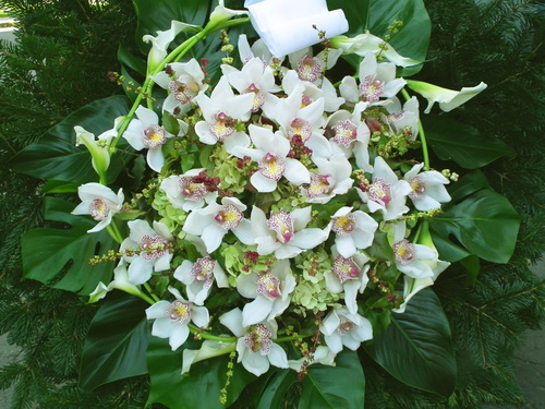 Blumenlieferung nach Budapest - Trauer Kranz mit Orchideen, Hortensien, und Mini-Calla (1,1m)