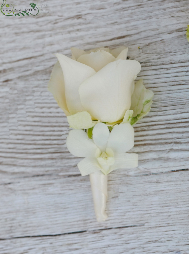 flower delivery Budapest - Boutonniere of rose (dendrobium, rose, cream)