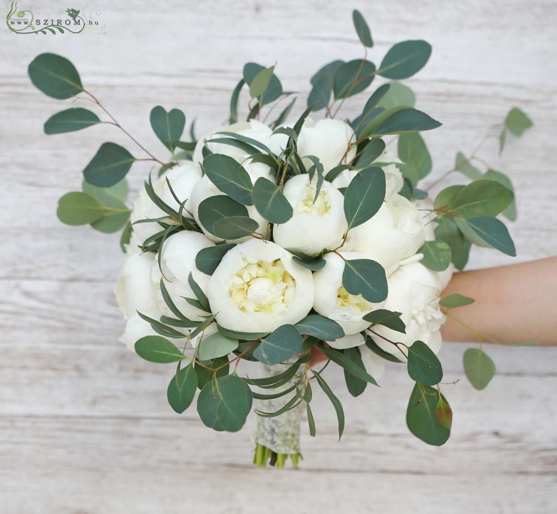 Bridal bouquet (peony, eucaliptus polyanthemos, white) summer