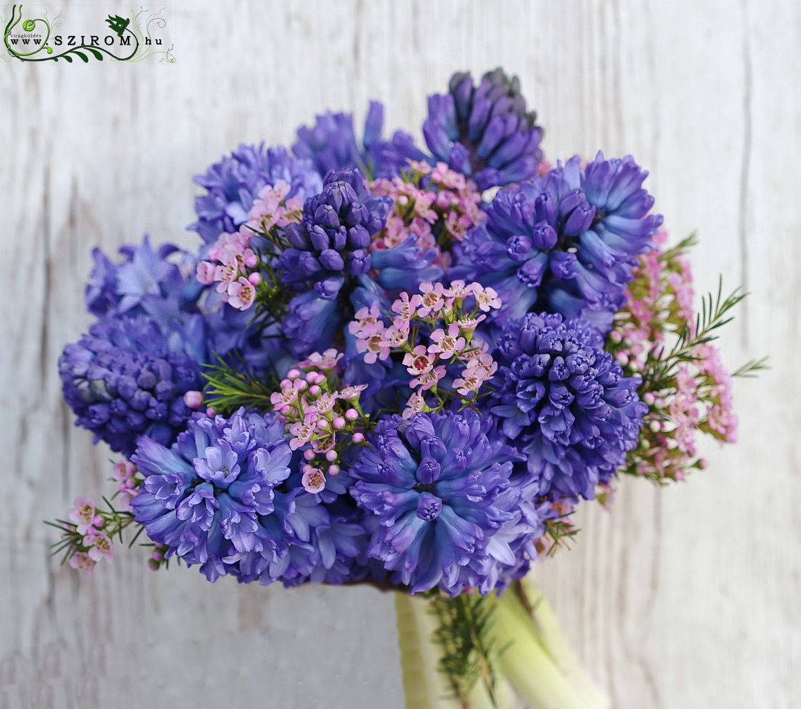 Menyasszonyi csokor (jácint, viaszvirág, lila, kék)