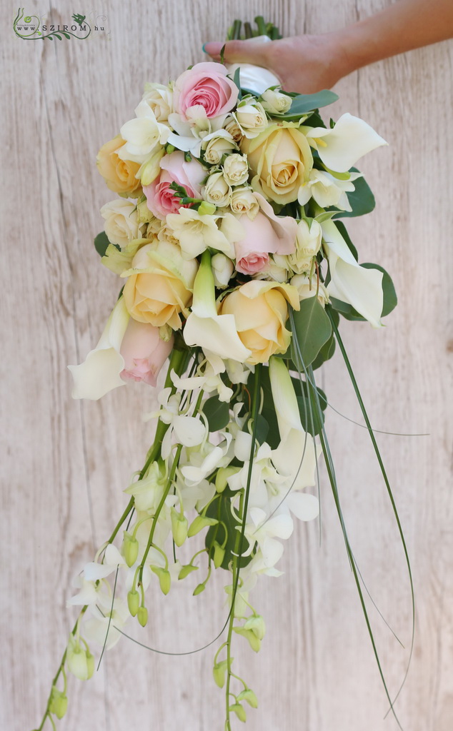 Bridal bouquet, tardrop shape (dendrobium, calla, rose, spray rose, white, peach, light pink)