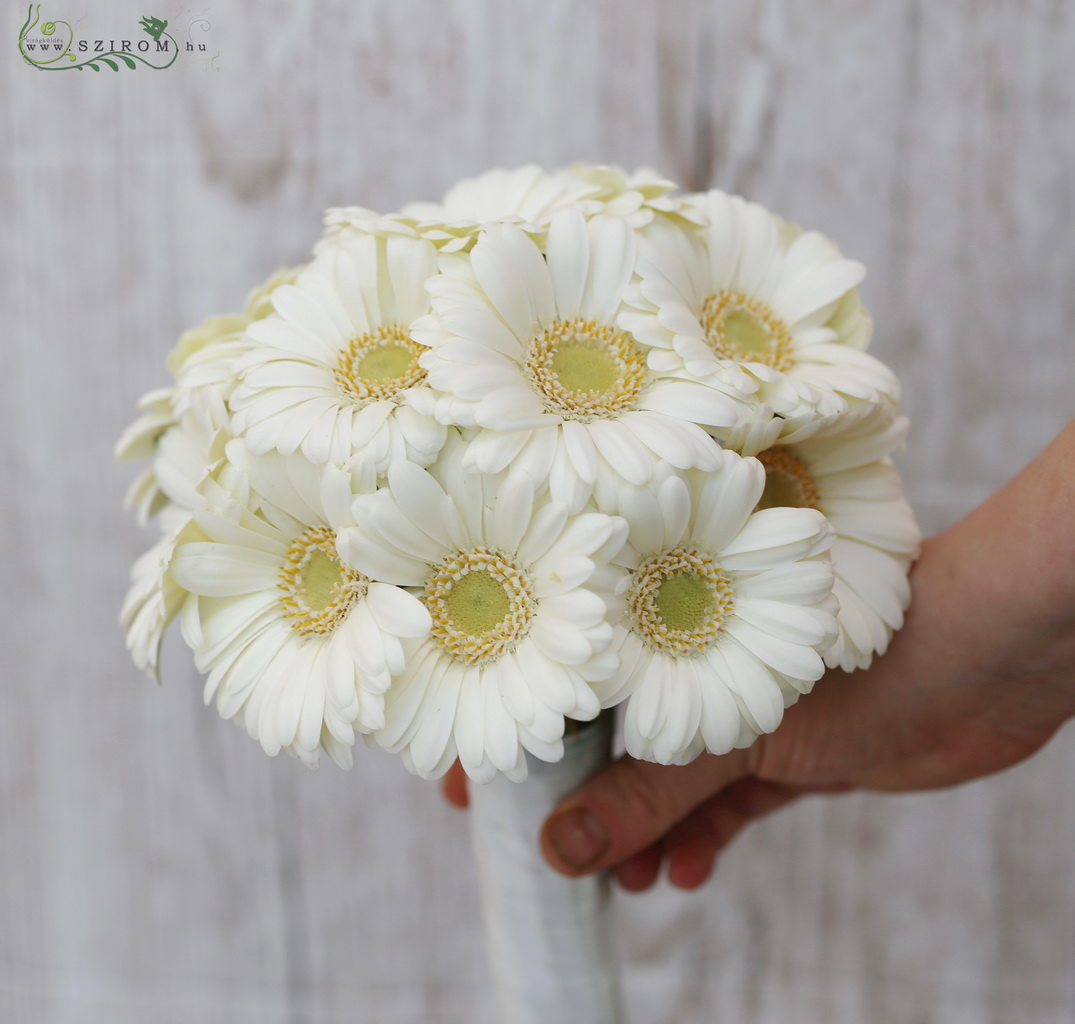 Bridal bouquet (gerbera, white)