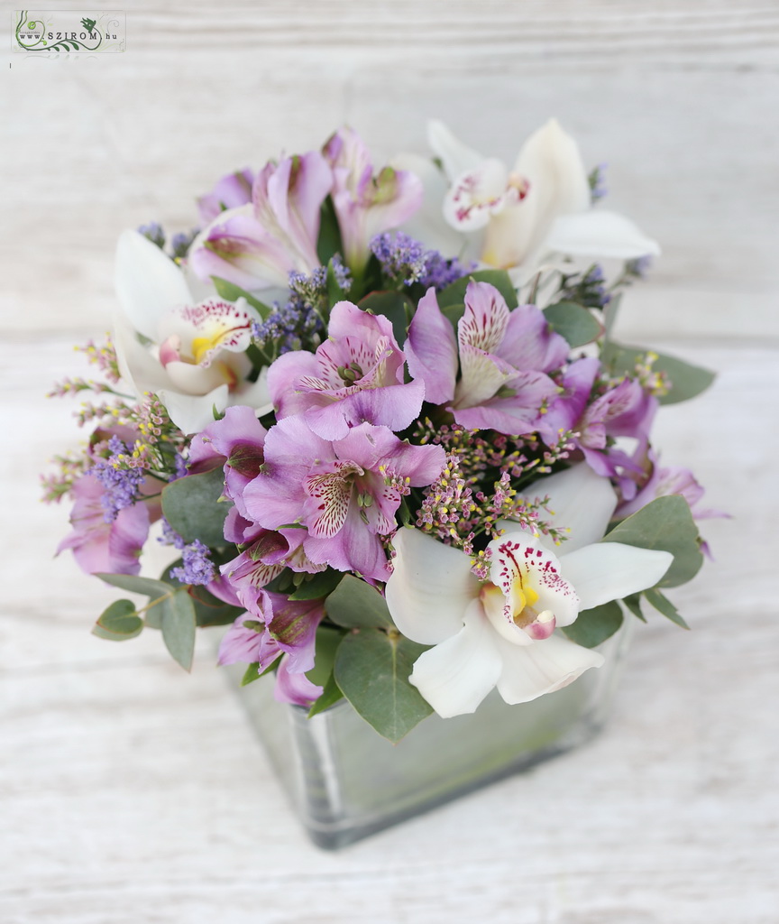 üvegkocka lila alstromériával, fehér orchideával