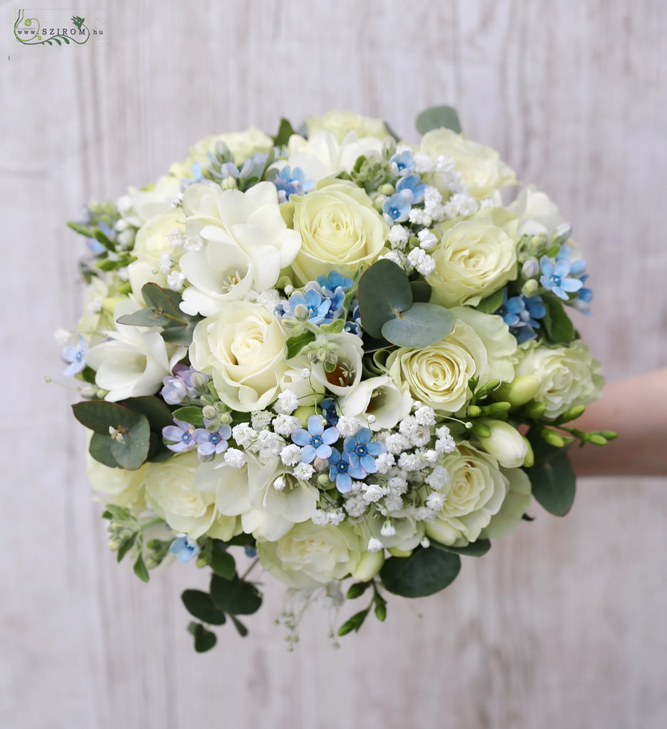 Bridal bouquet (rose, freesia, baby breath, oxypetalum, white, blue)