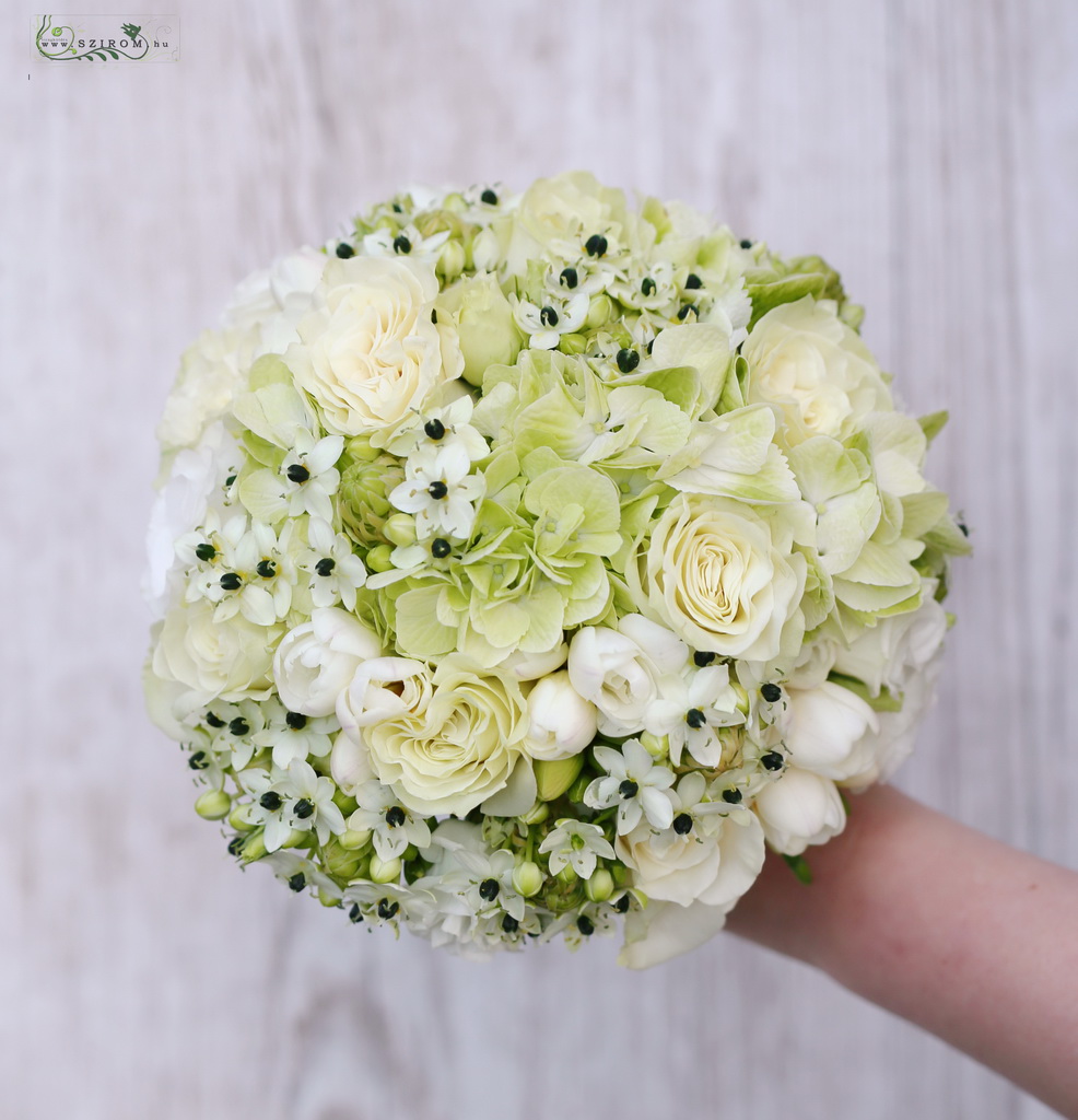 bridal bouquet (rose, freesia, hydrangea, ornithogalum, white, creme)m)
