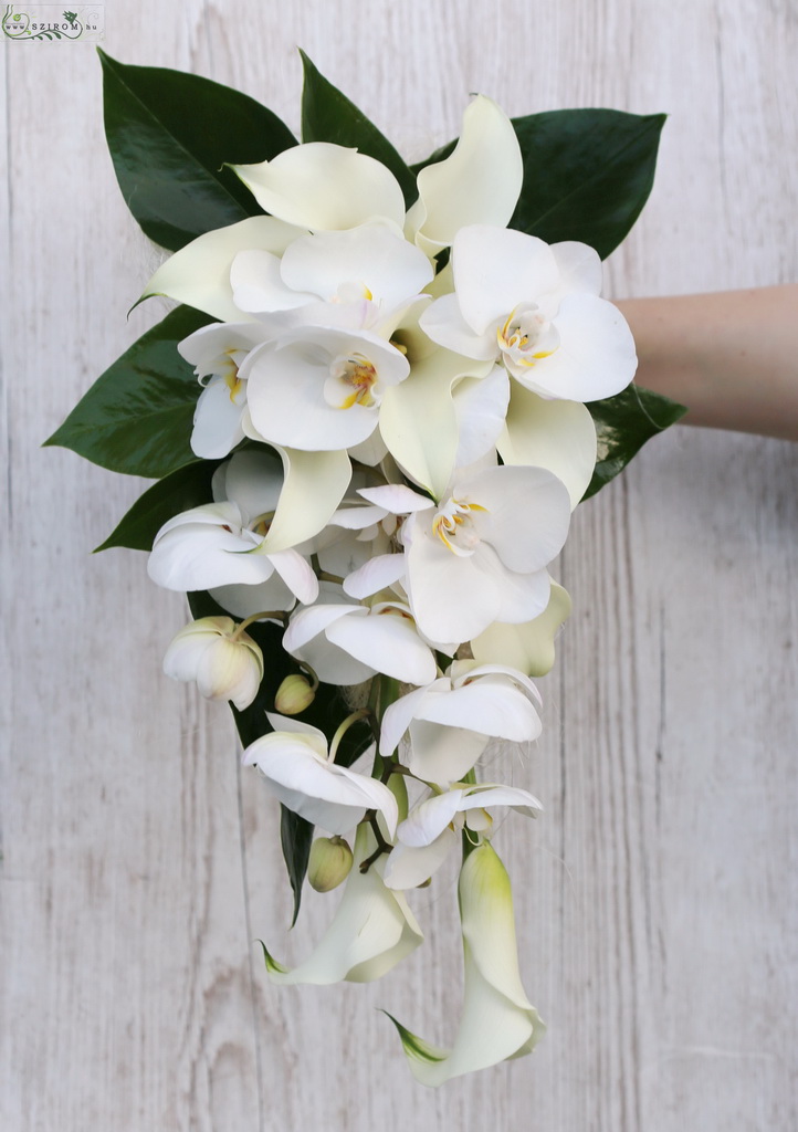 Drop shape bridal bouquet (cala, orchid, white)