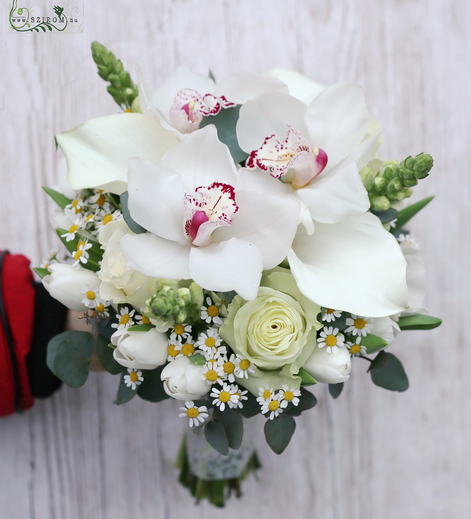Bridal bouquet (rose, orchid, chamomile, ornithogalum, white)