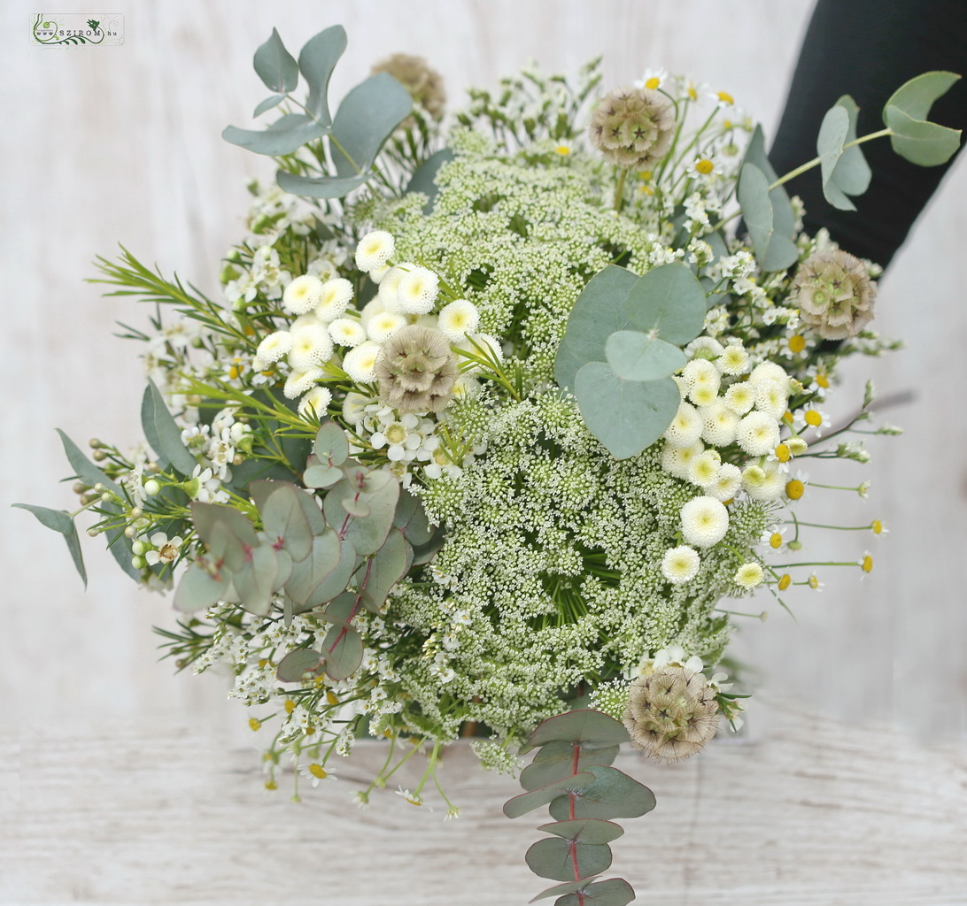 Bridal bouquet (chamomile, wax, scabiosa, trachelium, limonium, matricaria, eucalyptus, white, brown)