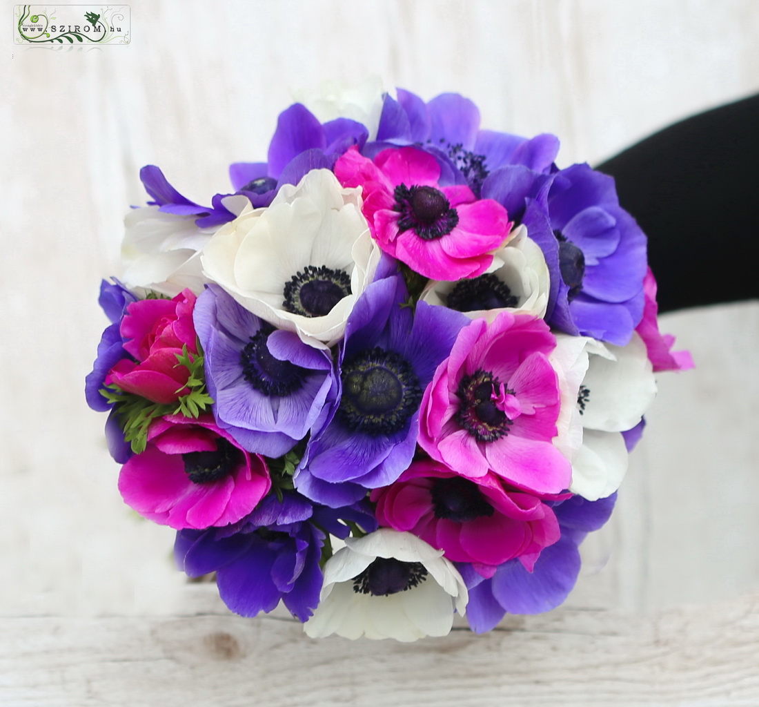 Bridal bouquet (anemone, white, pink, purple)
