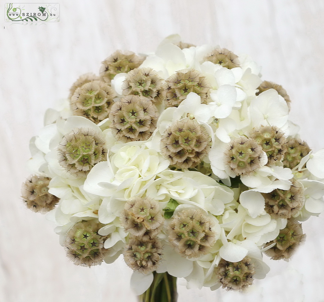 Bridal bouquet (hydrangea, scabiosa, white, brown)