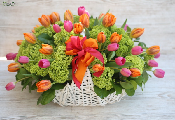 flower delivery Budapest - flower basket of 40 tulips, with seasonal greenery