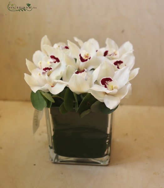 Virágküldés Budapest - üveg kocka 9 fehér orchideával